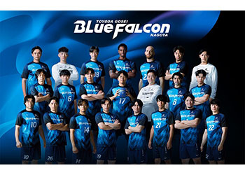 豊田合成ブルーファルコン名古屋